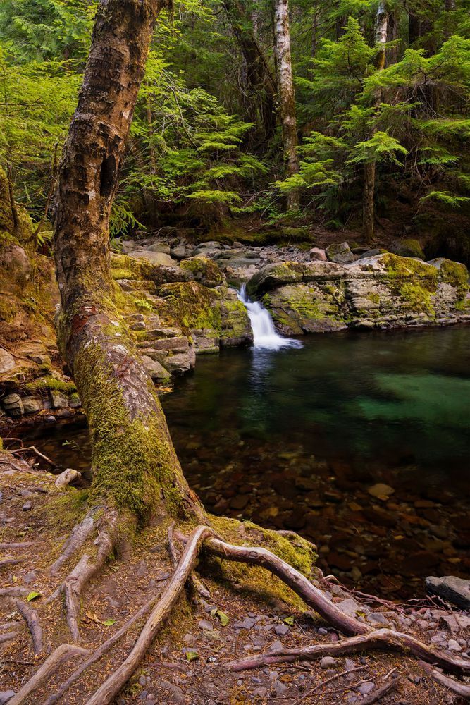 Summit Prairie Creek Pond, Washington, 2021