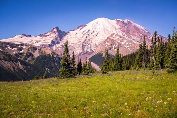 Summer, Mt Rainier, Washington, 2021