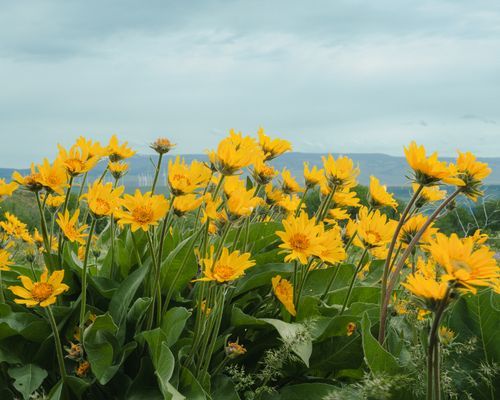 Mdawmdawmdawmdaw7qgraepd6cacehr zcfbfywxu2fyveayeunrgwctqqqltnerwweter6yomfiojy24adow ljj7f22f2vd2s3k0fn 38ezqodftc2xeuhdjufahdziomokxodj3hs jg da6ji5eudq olwagpj5emn5xzg byns8f1sgyxbr5dldbwlneqf488yjdlpqhatlgz4qxuwrwkd87be6t7ysnyduhldtm die1wl8a7pakfipjkxbhywmkhiidfihbby14vbrt9dqzcb 2qij8mgtrjidevnoqcqa aa r5hbygi5cenqft7deqmgkcrp6iqcd04ng mw4wn 7qwm9yc8hdpvezvqudazhygis11asw
