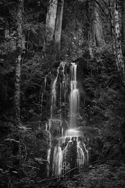 Springtime Waterfall, Olympic National Park, Washington, 2016