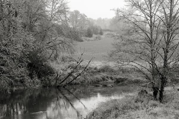 South Fork Chehalis River, Washington, 2015