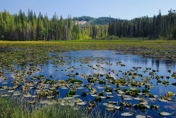 South Prairie Lake, Skamania County, Washington, 2007