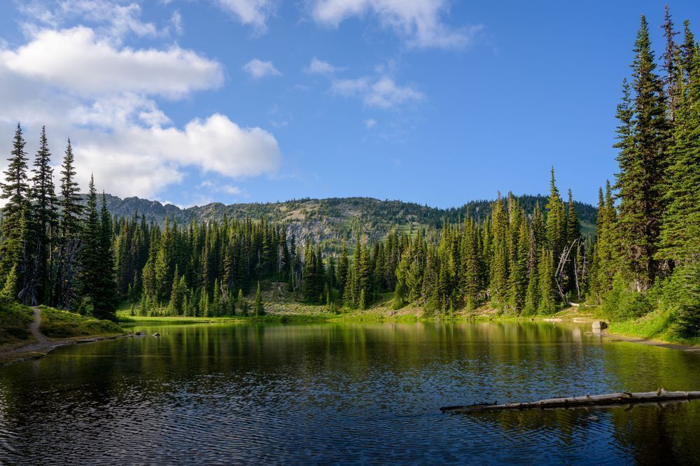 Shadow Lake, Mt. Rainier National Park, Washington, 2021