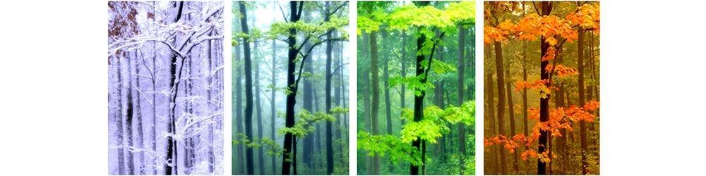 
        <div class='title'>
          site banner 2
        </div>
       