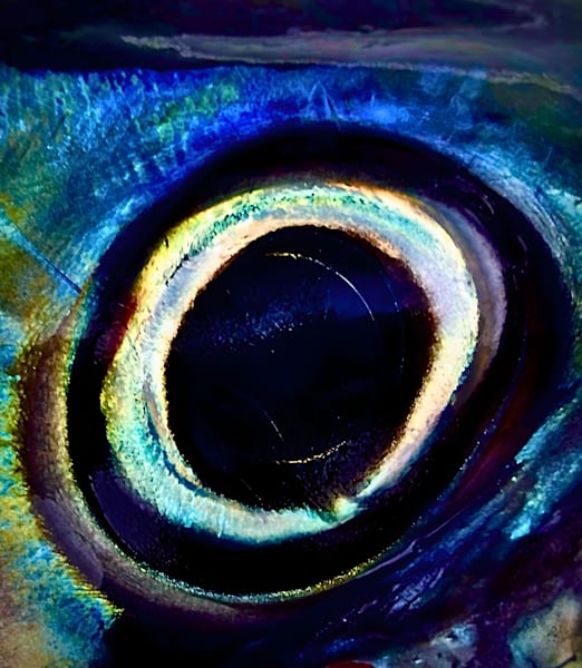 EYE OF MAGURO