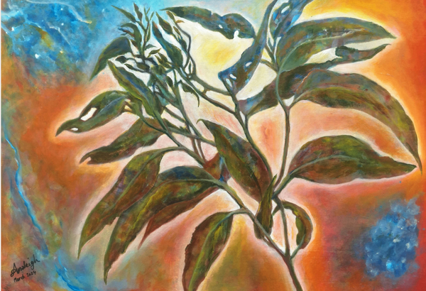 Spring Echo Of The Eucalypt Art | Amaleigh Art