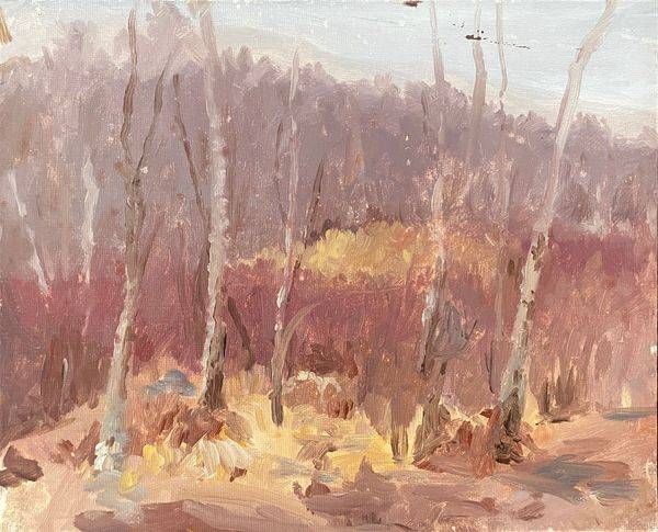 Marsh In Early Spring Art | Dana Uzwiak Art