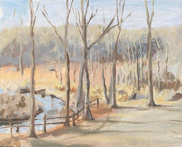River In Early Spring (2/20/20) Art | Dana Uzwiak Art