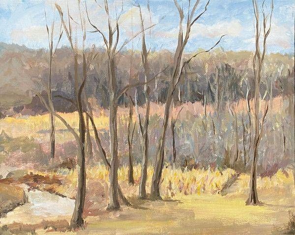 Spring By The Brook 5 (2/28/20) Art | Dana Uzwiak Art