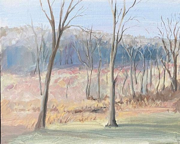 Spring By The Brook 6 (3/03/20) Art | Dana Uzwiak Art