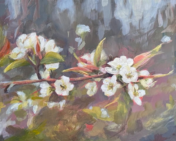 Pear Blossoms Art | Dana Uzwiak Art