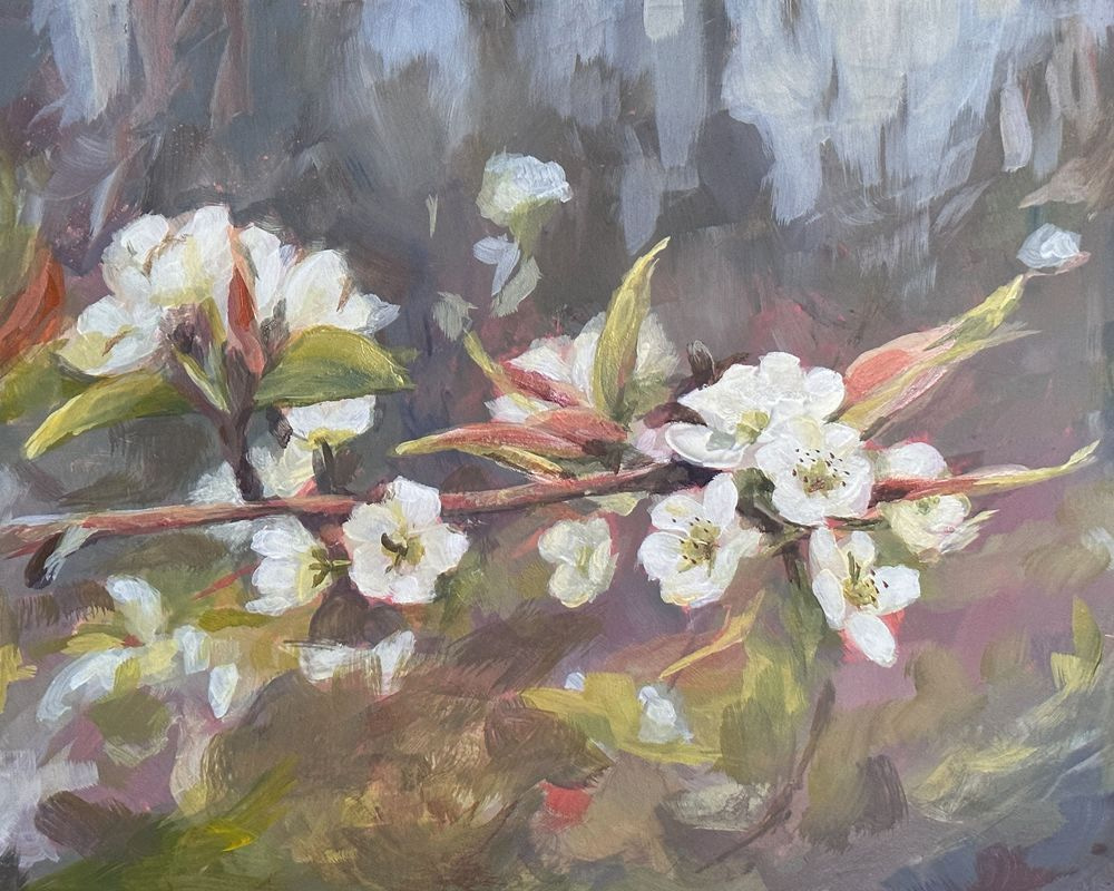 Pear Blossoms Art | Dana Uzwiak Art