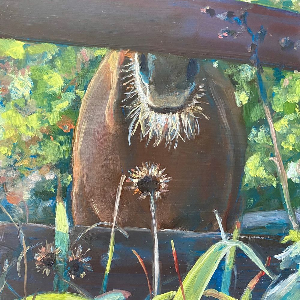 A Conversation From Across The Fence Art | Dana Uzwiak Art