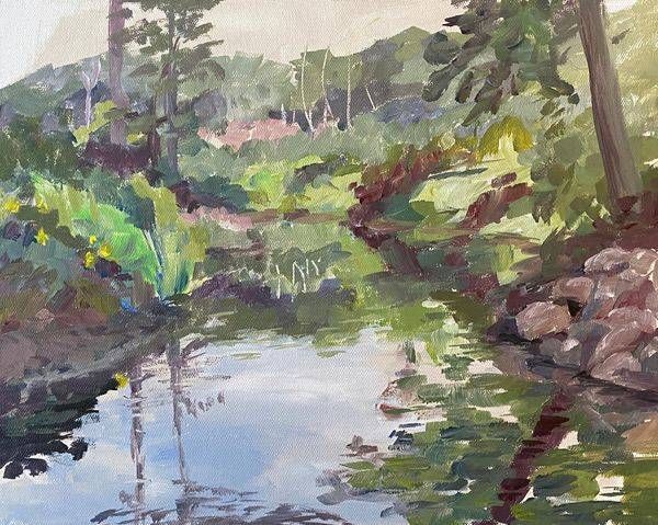 A Late Day Float On The Brook Art | Dana Uzwiak Art