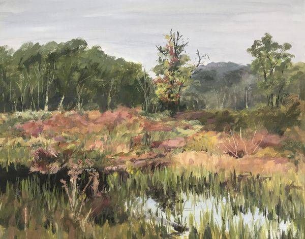 September Wetland Morning Art | Dana Uzwiak Art