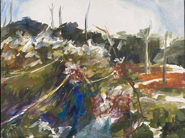 Morning Dew On The Spider Highway Art | Dana Uzwiak Art