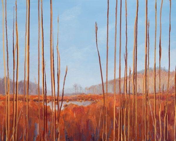 Lifting Fog Over Spring Marsh Art | Dana Uzwiak Art