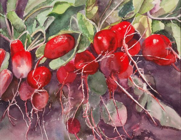 Still Life