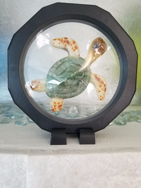 Baby Turtle in Floating Frame