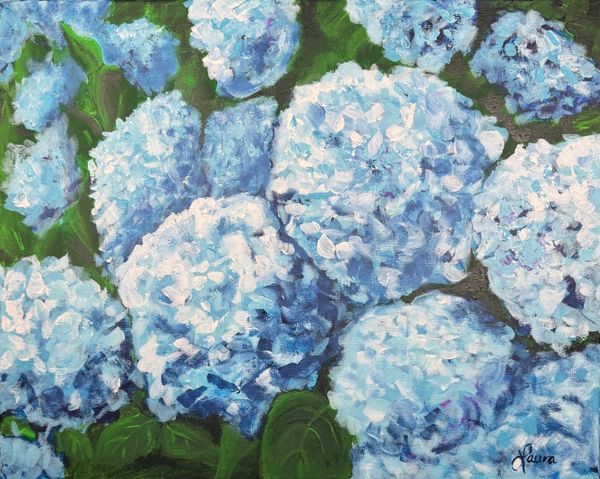 Hydrangeas
