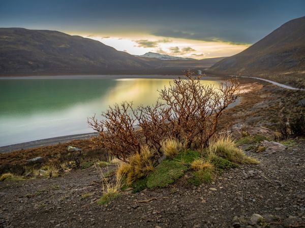 Landscapes