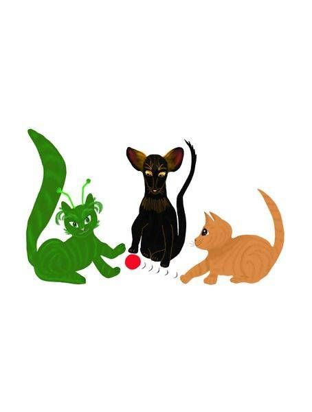 Illustrations