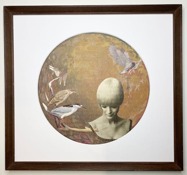 Swoop Art | Mina Vancardo