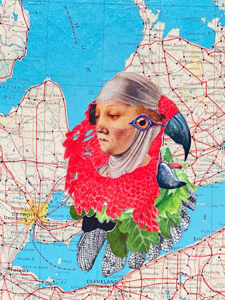 Parrot Parent – Animal-Inspired Collage