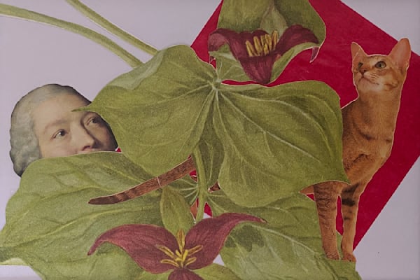 Washington S Cat – Whimsical Analogue Collage