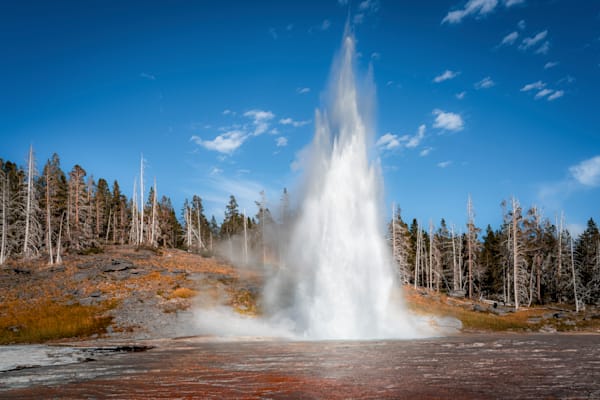 Grand Geyser Unleashed — A Sudden Fountain Of Boiling Water And Autumn Steam Photography Art | Harry Beugelink Photography