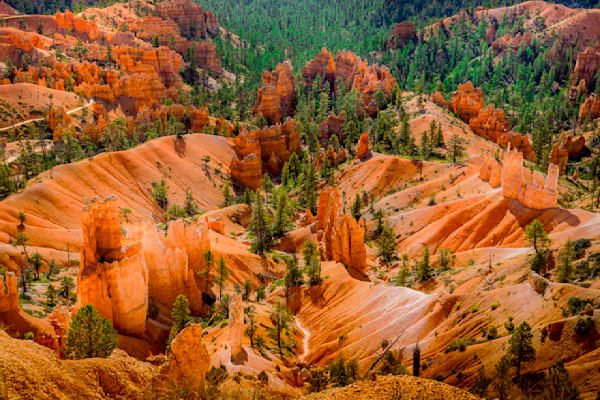 Queens Garden Canyon — A Quiet Conversation Between Stone And Pine Photography Art | Harry Beugelink Photography