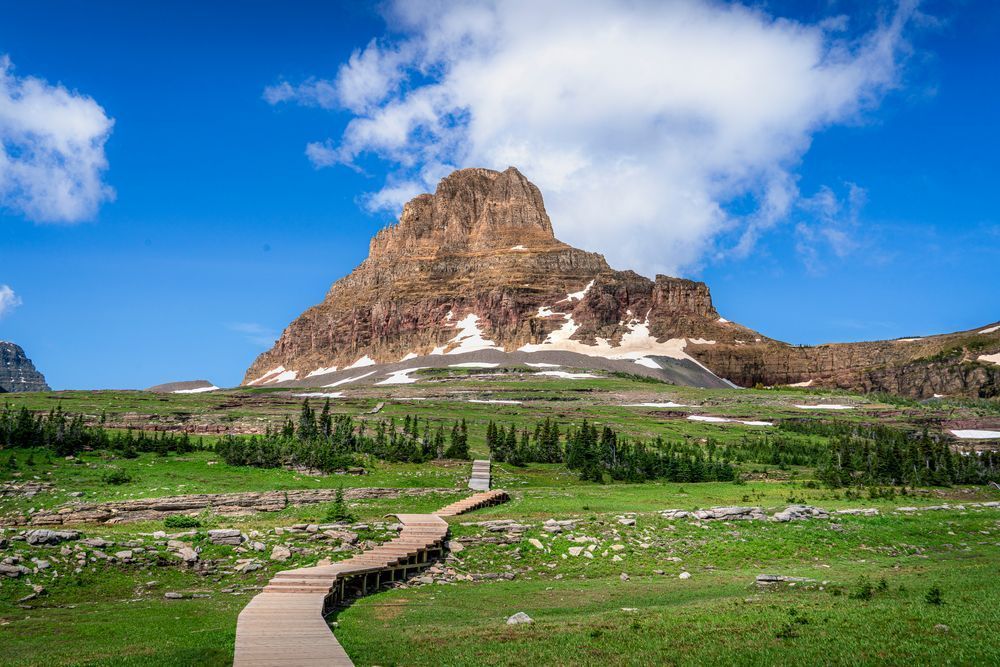 Remembering Footsteps   Boardwalk To Clements Mountain In Glacier Photography Art | Harry Beugelink Photography