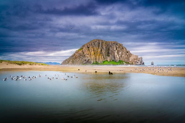 Under Gray Skies At Morro Rock — A Gentle California Coastal Reverie Photography Art | Harry Beugelink Photography