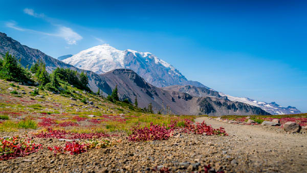 Autumn Pause On The Berkley Trail — Newberry Knotweed And Mount Rainier Photography Art | Harry Beugelink Photography