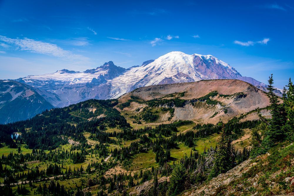 Burroughs Mountain and Mount Rainier in Mount. Rainier National Park
