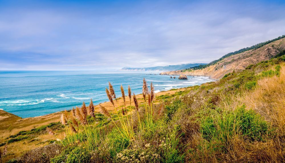 California Coast at Bruhel Point