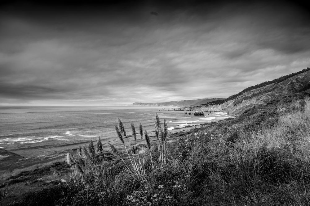 California Coast at Bruhel Point in BW