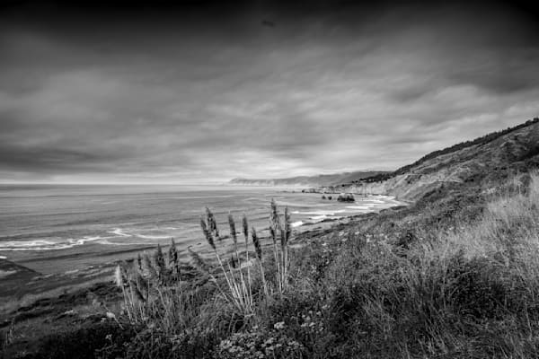 California Coast at Bruhel Point in BW