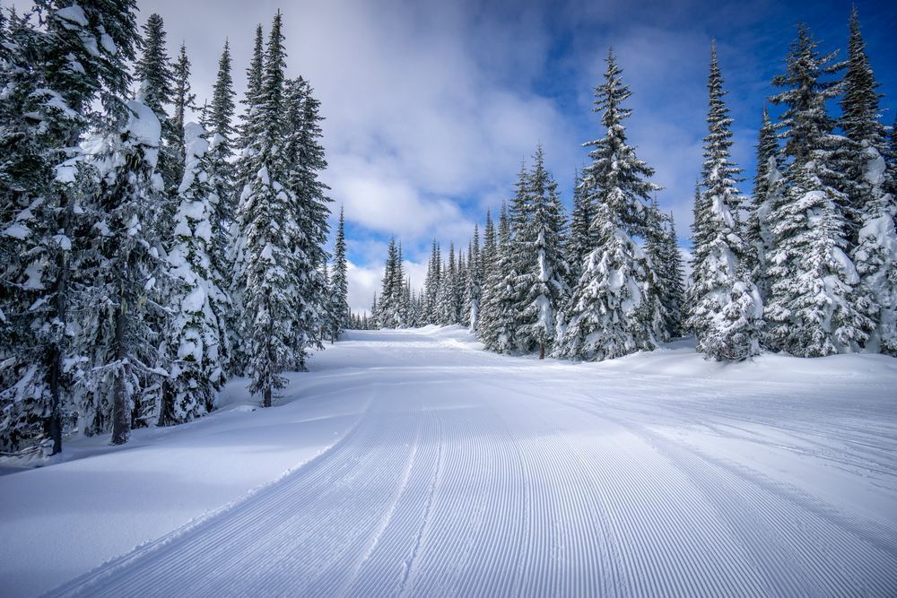 Corduroy Tracks on the Ski Slopes