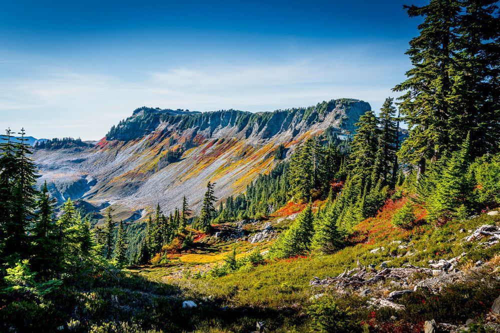 Artiost Point at Mount Baker