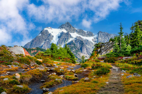 Hiking through the Fall Colored Alpine Meadows at Mount Baker