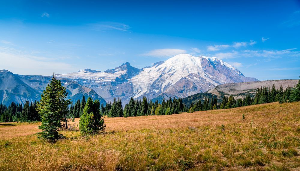 Mount Rainier from the Frozen Lake Trail