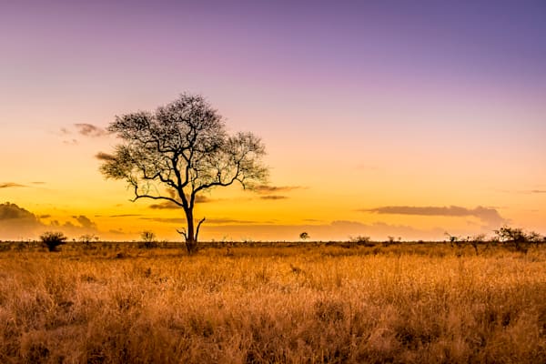 Sunrise in Savanah