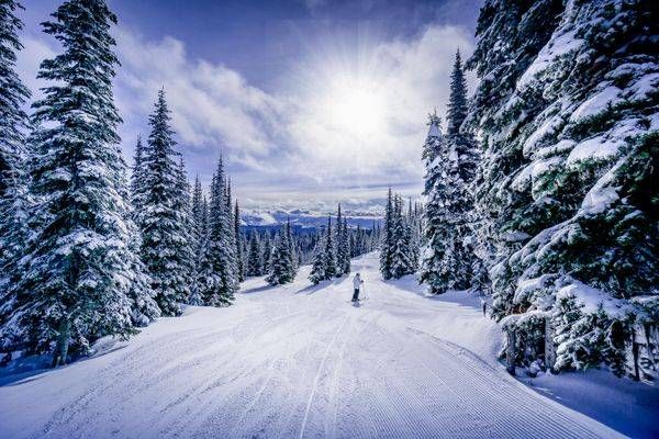 Skier heading down through the Glades