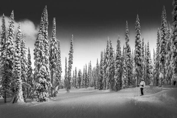 Enjoying the outdoors in the Snow Covered Forest