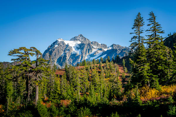 Mount Shuksan towering over the Forest covered in Fall Colors in the Valley below