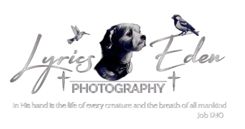 Lyrics Eden Photography