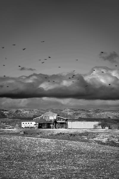 A distant flock of birds scatter beneath ominous clouds during a storm break.