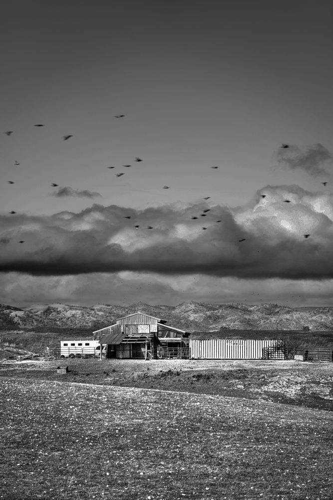 A distant flock of birds scatter beneath ominous clouds during a storm break.