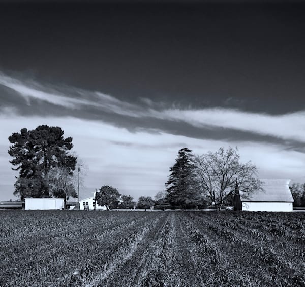 A farmhouse and barn sit quietly beneath streaking clouds in Esparto, California.